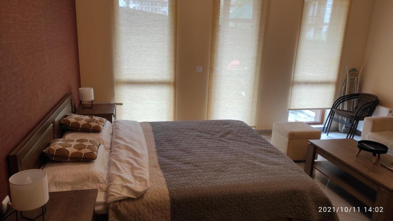 אפרטהוטל Studio D06, Green Life בנסקו מראה חיצוני תמונה